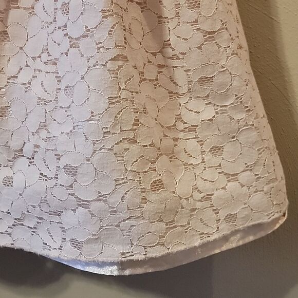AMERICAN PRINCESS LIGHT PINK LACE OVERLAY SPECIAL OCCASION DRESS, SIZE 4 - Picture 4 of 9